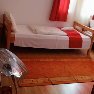 181086975_170856138247782_3917900209971618065_n-2