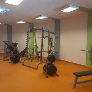 66861499_346476459580483_2367504540422373376_n