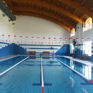 67260342_469506800531204_3256195675544616960_n